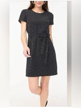 J. Crew Black Polka Dot Tie-Waist Mini Dress
